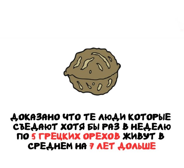 Интересные короткие факты на все случаи жизни