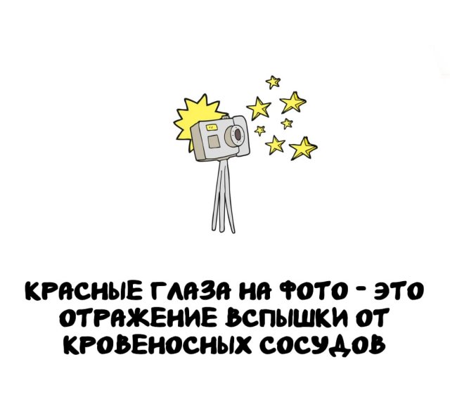 Интересные короткие факты на все случаи жизни