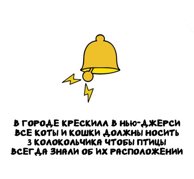 Интересные короткие факты на все случаи жизни