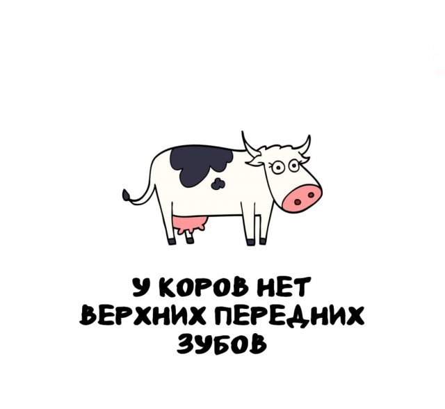 Интересные короткие факты на все случаи жизни