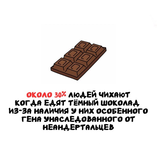 Интересные короткие факты на все случаи жизни