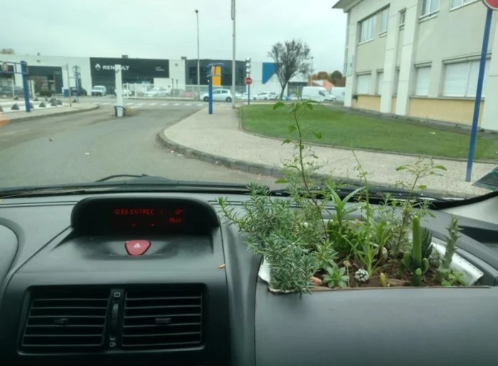 Случайные снимки всяких редчайших вещей и явлений