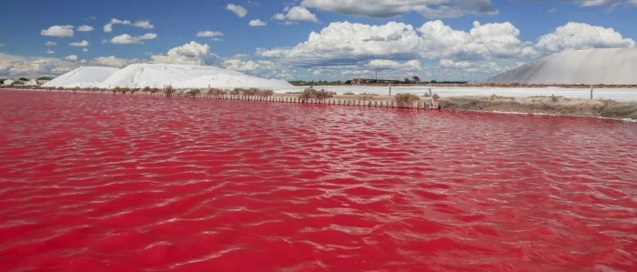 Удивительные и чудесные уголки нашей планеты, в существование которых трудно поверить озеро, метров, образования, высотой, которых, Сахары, уникальный, геологических, демонстрирует, непрерывно, природный, почти, гигантские, пустыня, более, деревья, Среди, природа, результате, Вайтомо