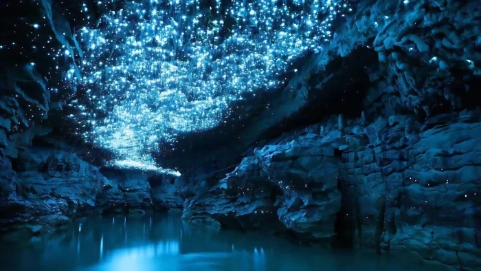 Удивительные и чудесные уголки нашей планеты, в существование которых трудно поверить озеро, метров, образования, высотой, которых, Сахары, уникальный, геологических, демонстрирует, непрерывно, природный, почти, гигантские, пустыня, более, деревья, Среди, природа, результате, Вайтомо