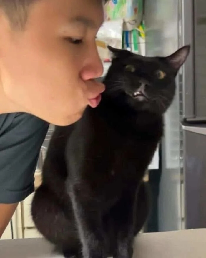 Очаровательные животные, которые моментально поднимут настроение настроение, Животные, 10Держу, точно, картина, 13Когда, 12Недотрога, защитой, 11Под, равновесие, разлетелись, характер, 9Брови, работать, 8Хозяин, улитки, 7Забавные, начало, 6Наташа, передаёт