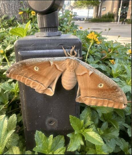Подборка прикольных картинок 123456789101112131415161718192021222324252627282930313233343536373839404142434445464748495051525354555657585960616263646566676869707172737475767778798081828384858687888990919293949596979899100101102103104105106Запись, Подборка, прикольных, картинок, впервые, появилась, Zefirka