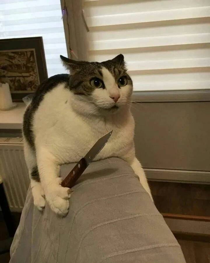 Подборка прикольных картинок 123456789101112131415161718192021222324252627282930313233343536373839404142434445464748495051525354555657585960616263646566676869707172737475767778798081828384858687888990919293949596979899100101102103104105106Запись, Подборка, прикольных, картинок, впервые, появилась, Zefirka