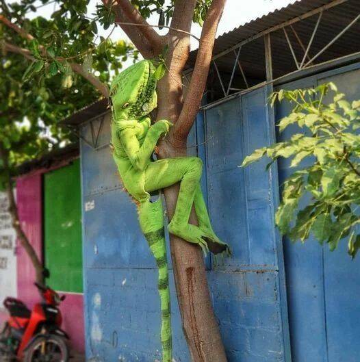 Подборка прикольных картинок 123456789101112131415161718192021222324252627282930313233343536373839404142434445464748495051525354555657585960616263646566676869707172737475767778798081828384858687888990919293949596979899100101102103104105106Запись, Подборка, прикольных, картинок, впервые, появилась, Zefirka