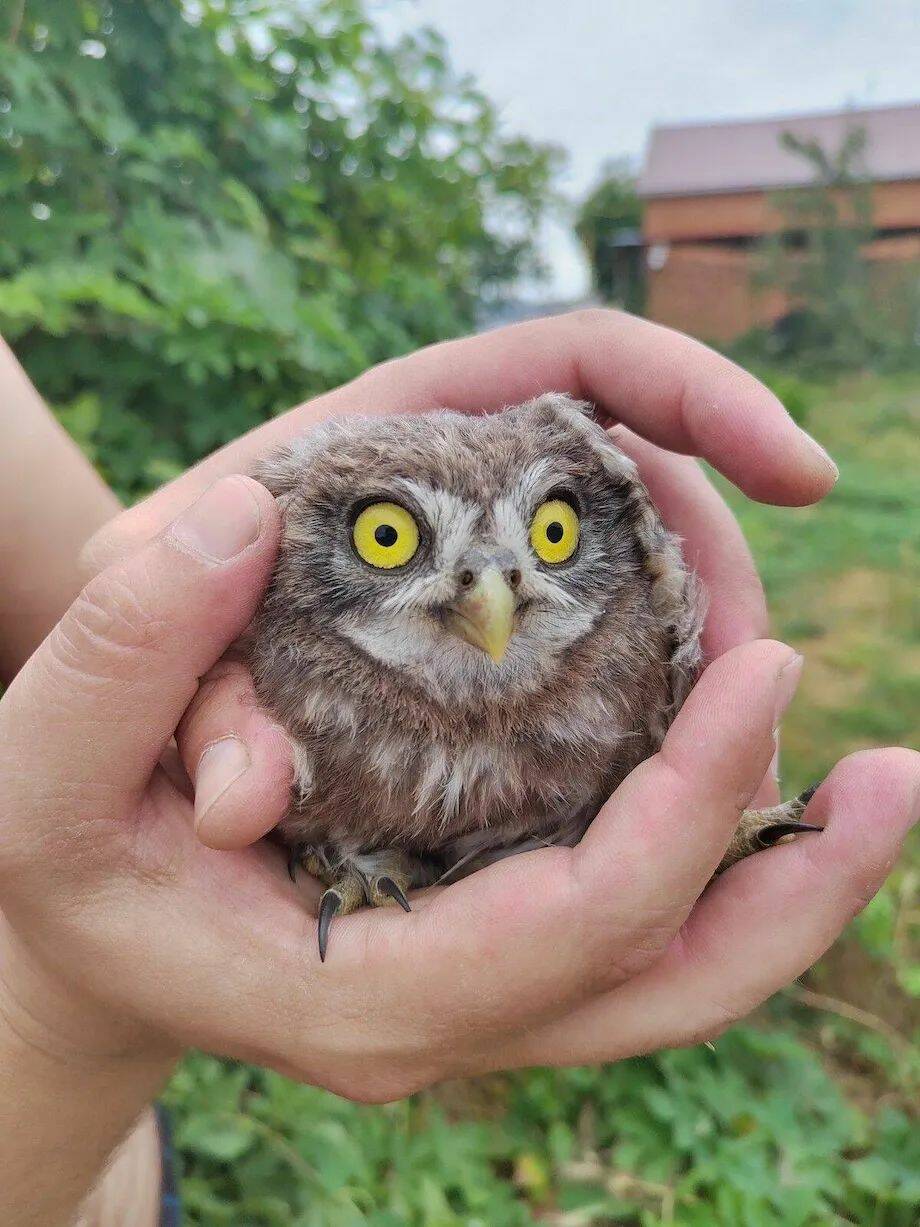 Подборка прикольных картинок 123456789101112131415161718192021222324252627282930313233343536373839404142434445464748495051525354555657585960616263646566676869707172737475767778798081828384858687888990919293949596979899100101102103104105106Запись, Подборка, прикольных, картинок, впервые, появилась, Zefirka