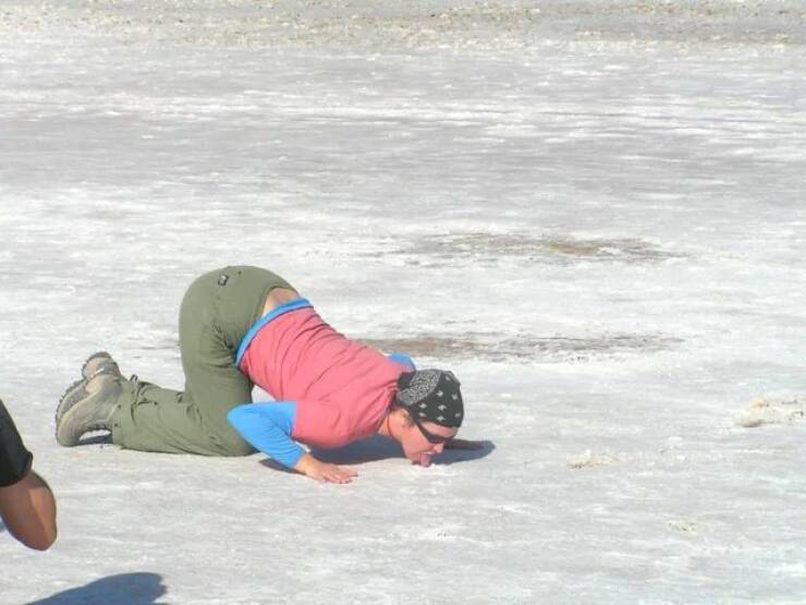 Подборка прикольных картинок 123456789101112131415161718192021222324252627282930313233343536373839404142434445464748495051525354555657585960616263646566676869707172737475767778798081828384858687888990919293949596979899100101102103104105106Запись, Подборка, прикольных, картинок, впервые, появилась, Zefirka