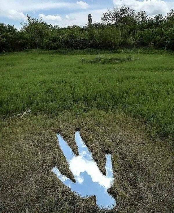 Подборка прикольных картинок 123456789101112131415161718192021222324252627282930313233343536373839404142434445464748495051525354555657585960616263646566676869707172737475767778798081828384858687888990919293949596979899100101102103104105106Запись, Подборка, прикольных, картинок, впервые, появилась, Zefirka