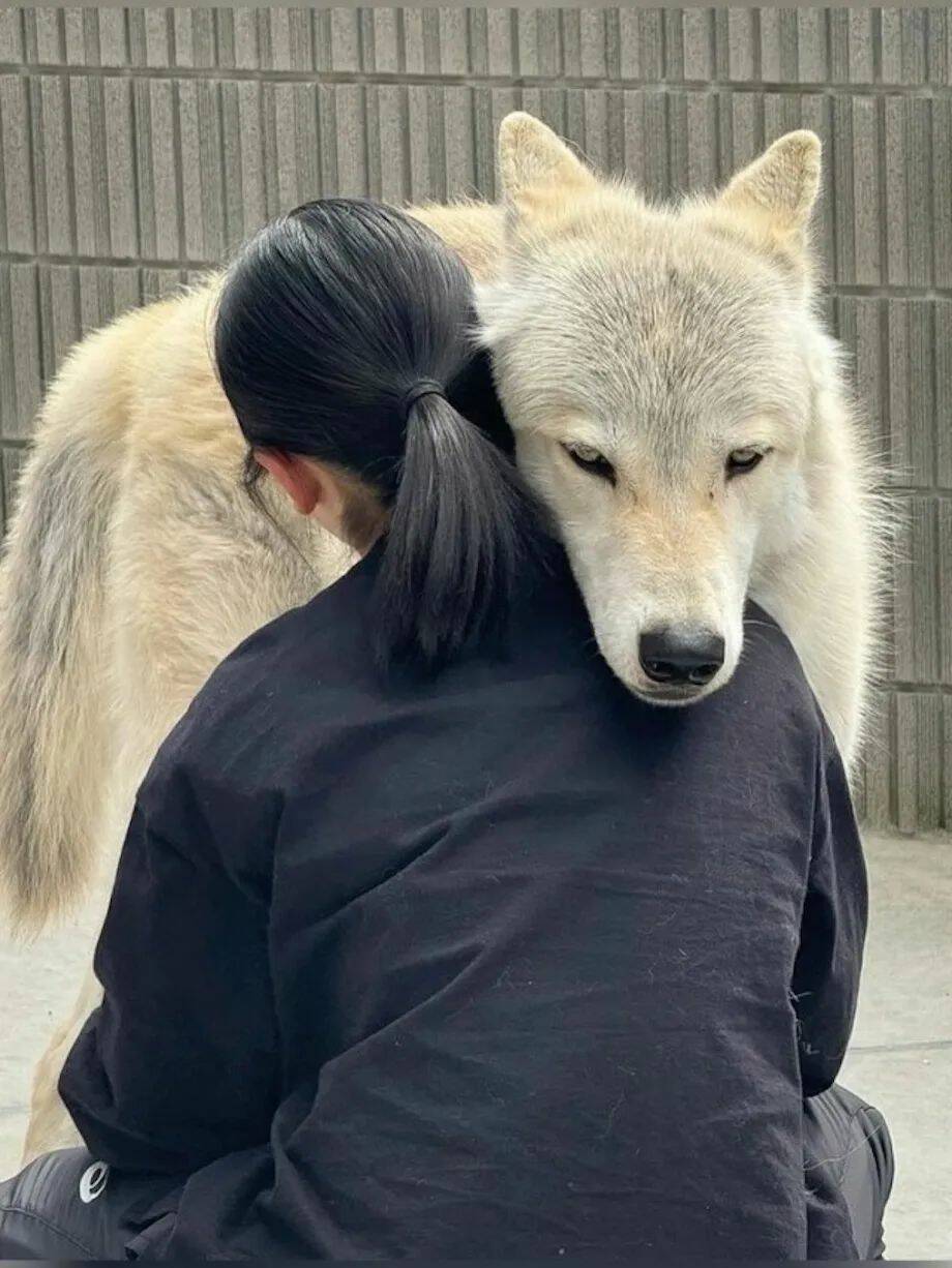 Подборка прикольных картинок 123456789101112131415161718192021222324252627282930313233343536373839404142434445464748495051525354555657585960616263646566676869707172737475767778798081828384858687888990919293949596979899100101102103104105106Запись, Подборка, прикольных, картинок, впервые, появилась, Zefirka