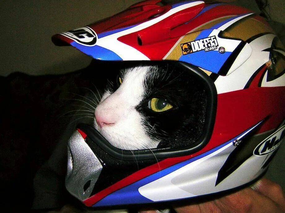 Подборка прикольных картинок 123456789101112131415161718192021222324252627282930313233343536373839404142434445464748495051525354555657585960616263646566676869707172737475767778798081828384858687888990919293949596979899100101102103104105106Запись, Подборка, прикольных, картинок, впервые, появилась, Zefirka