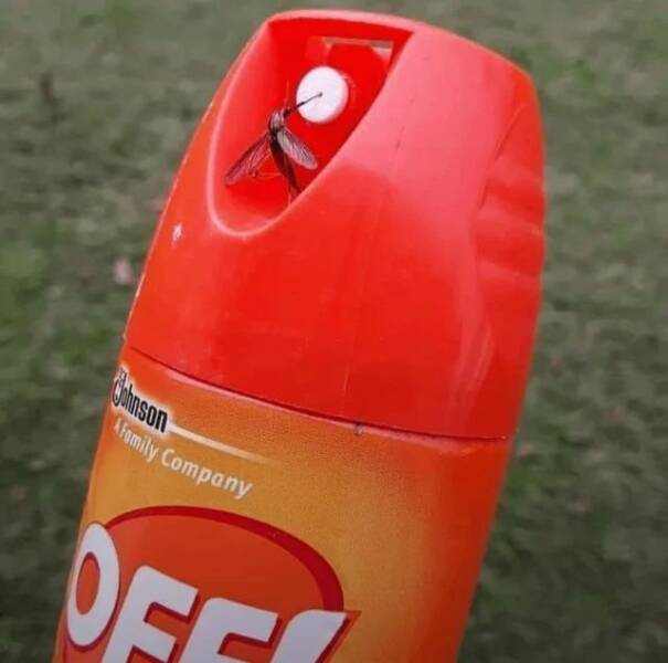 Подборка прикольных картинок 123456789101112131415161718192021222324252627282930313233343536373839404142434445464748495051525354555657585960616263646566676869707172737475767778798081828384858687888990919293949596979899100101102103104105106Запись, Подборка, прикольных, картинок, впервые, появилась, Zefirka