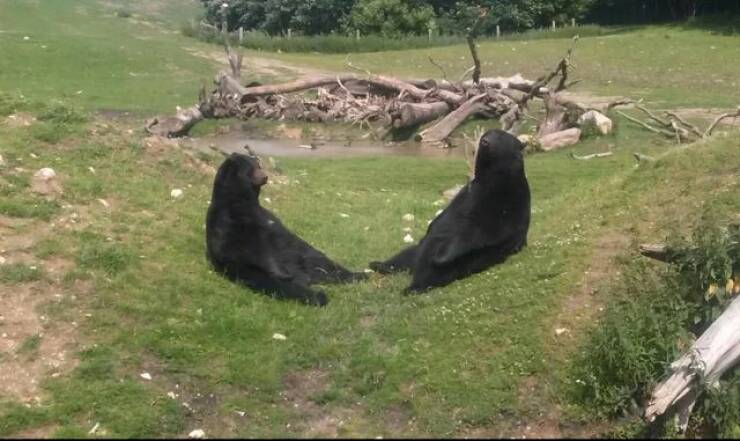 Подборка прикольных картинок 123456789101112131415161718192021222324252627282930313233343536373839404142434445464748495051525354555657585960616263646566676869707172737475767778798081828384858687888990919293949596979899100101102103104105106Запись, Подборка, прикольных, картинок, впервые, появилась, Zefirka