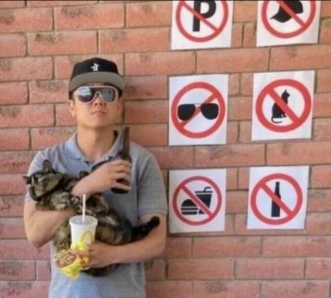 Подборка прикольных картинок 123456789101112131415161718192021222324252627282930313233343536373839404142434445464748495051525354555657585960616263646566676869707172737475767778798081828384858687888990919293949596979899100101102103104105106Запись, Подборка, прикольных, картинок, впервые, появилась, Zefirka