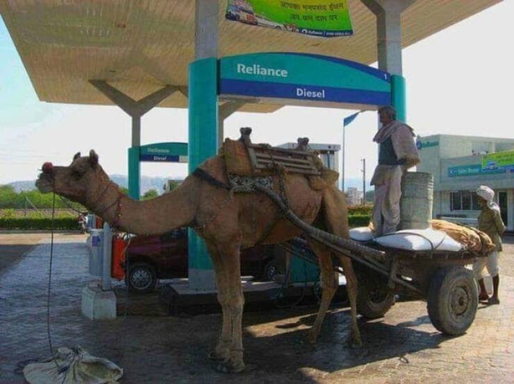 Подборка прикольных картинок 123456789101112131415161718192021222324252627282930313233343536373839404142434445464748495051525354555657585960616263646566676869707172737475767778798081828384858687888990919293949596979899100101102103104105106Запись, Подборка, прикольных, картинок, впервые, появилась, Zefirka