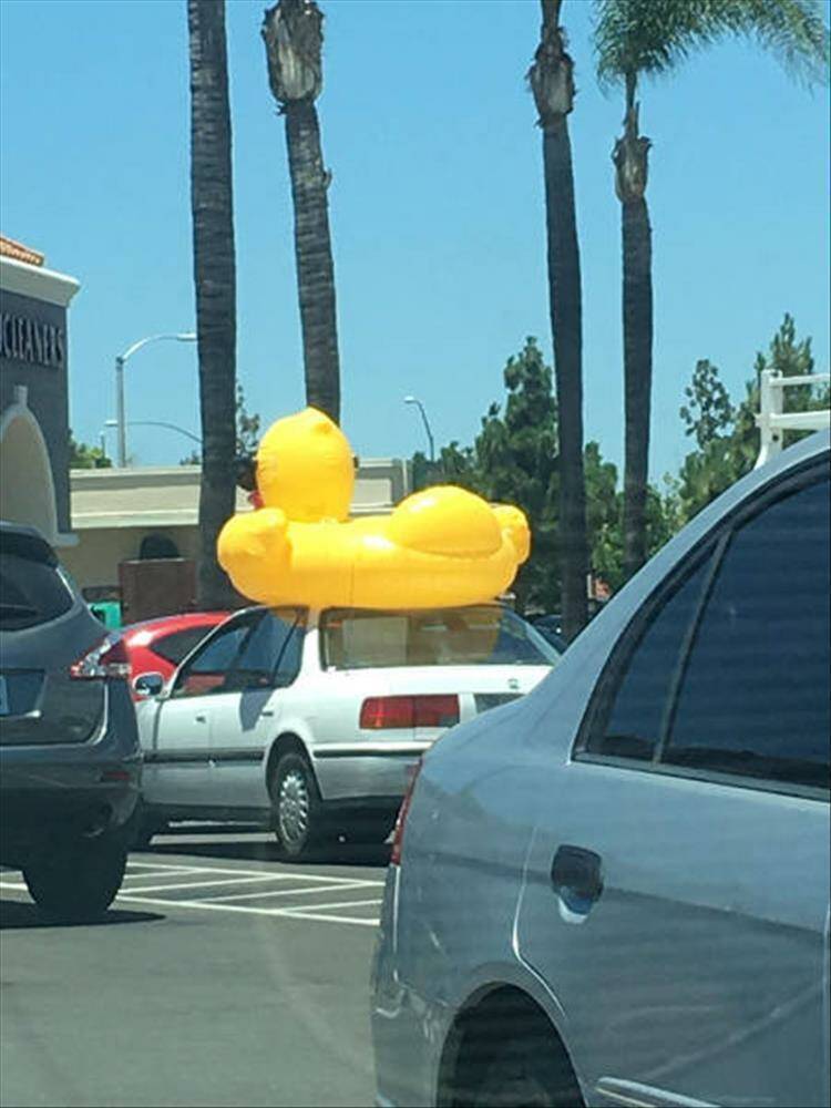 Подборка прикольных картинок 123456789101112131415161718192021222324252627282930313233343536373839404142434445464748495051525354555657585960616263646566676869707172737475767778798081828384858687888990919293949596979899100101102103104105106Запись, Подборка, прикольных, картинок, впервые, появилась, Zefirka