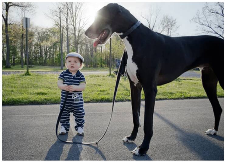 Подборка прикольных картинок 123456789101112131415161718192021222324252627282930313233343536373839404142434445464748495051525354555657585960616263646566676869707172737475767778798081828384858687888990919293949596979899100101102103104105106Запись, Подборка, прикольных, картинок, впервые, появилась, Zefirka