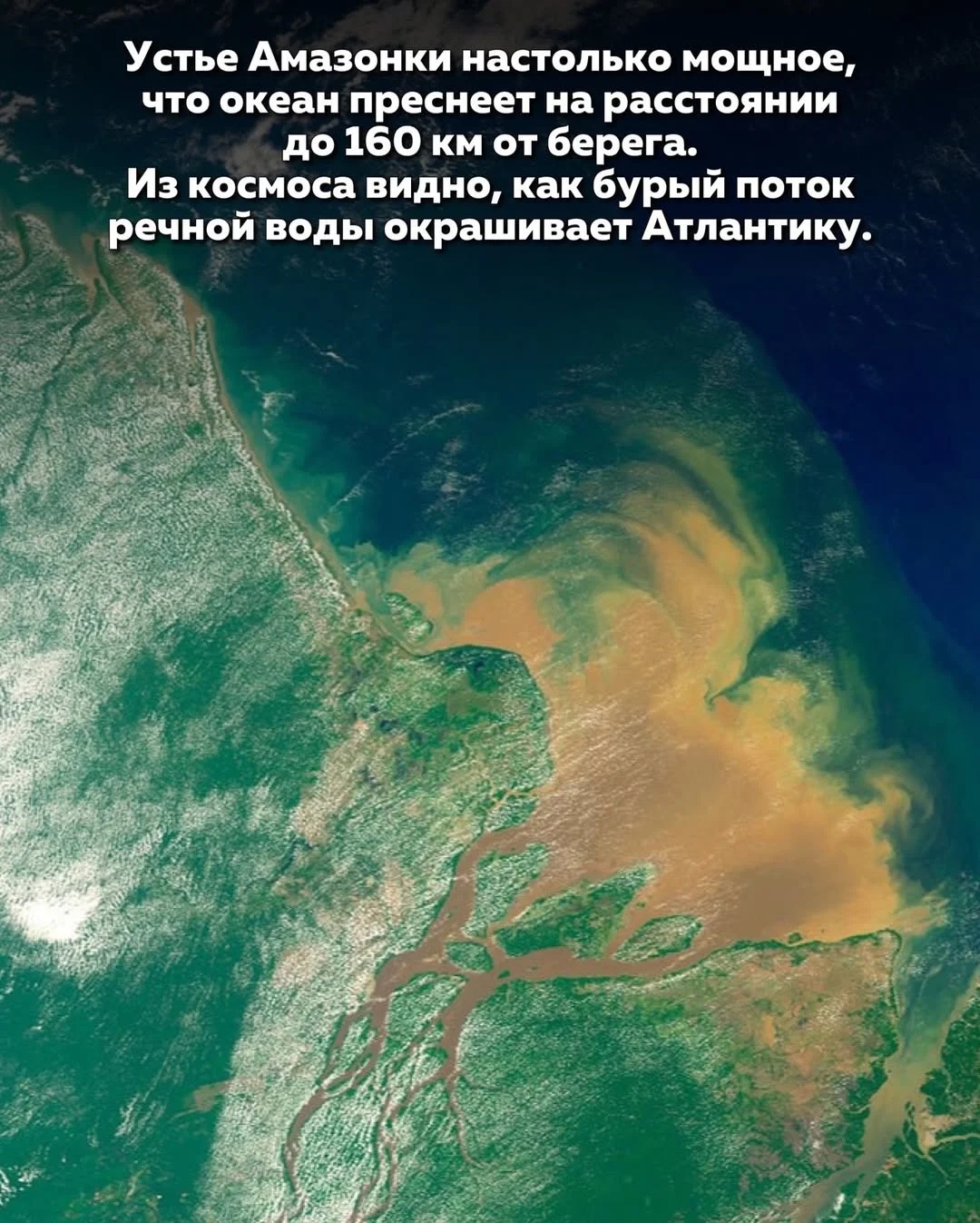 Широкий разлив Амазонки