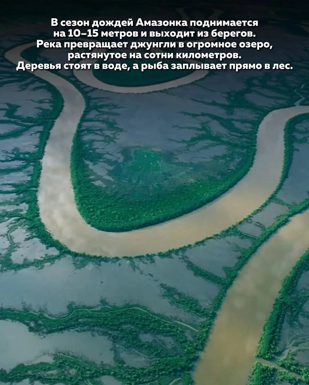 Представитель коренного племени на берегу реки