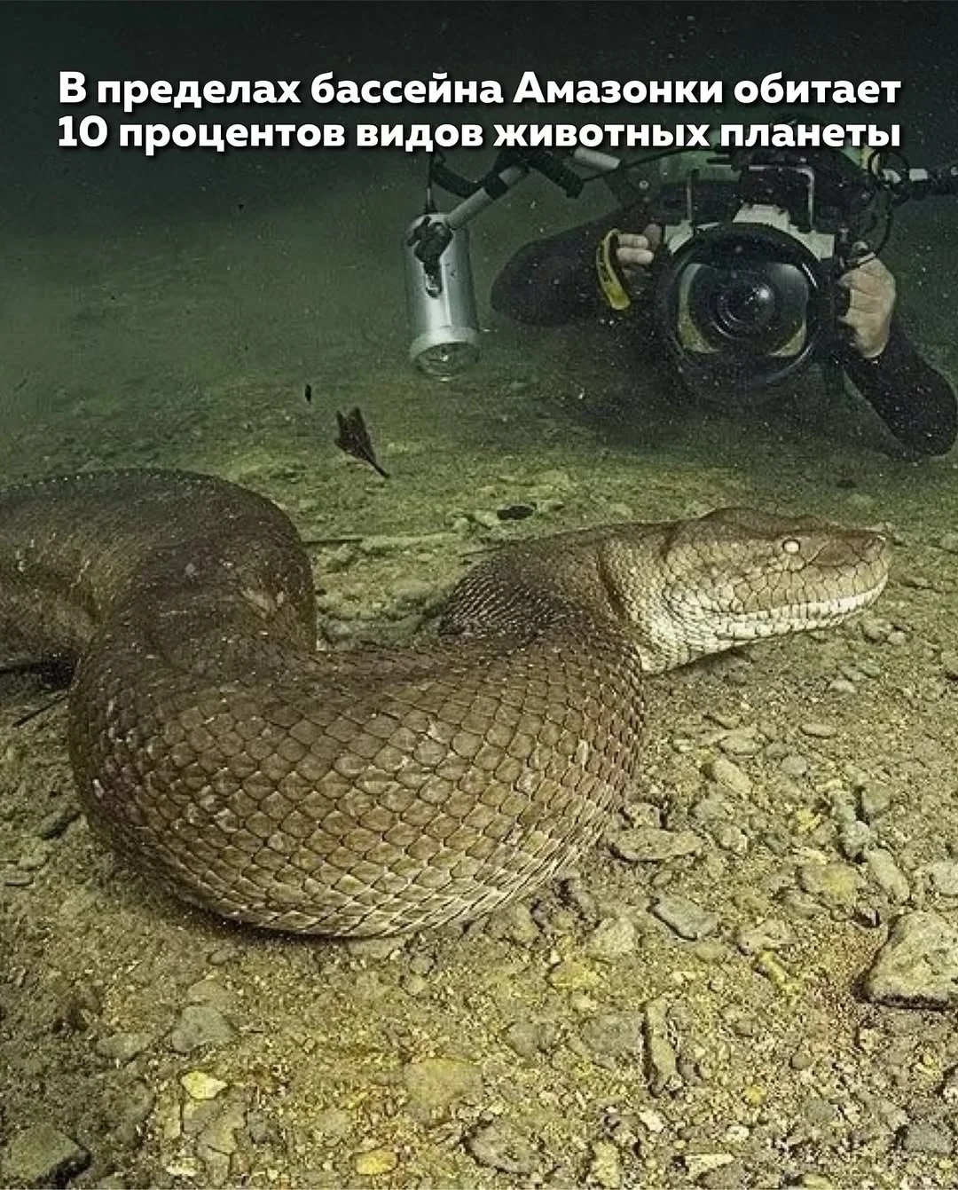 Облака над амазонскими джунглями