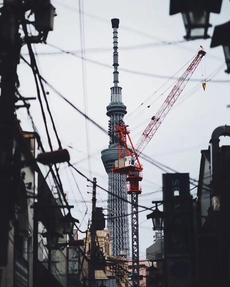 Осенний лес с разноцветными листьями