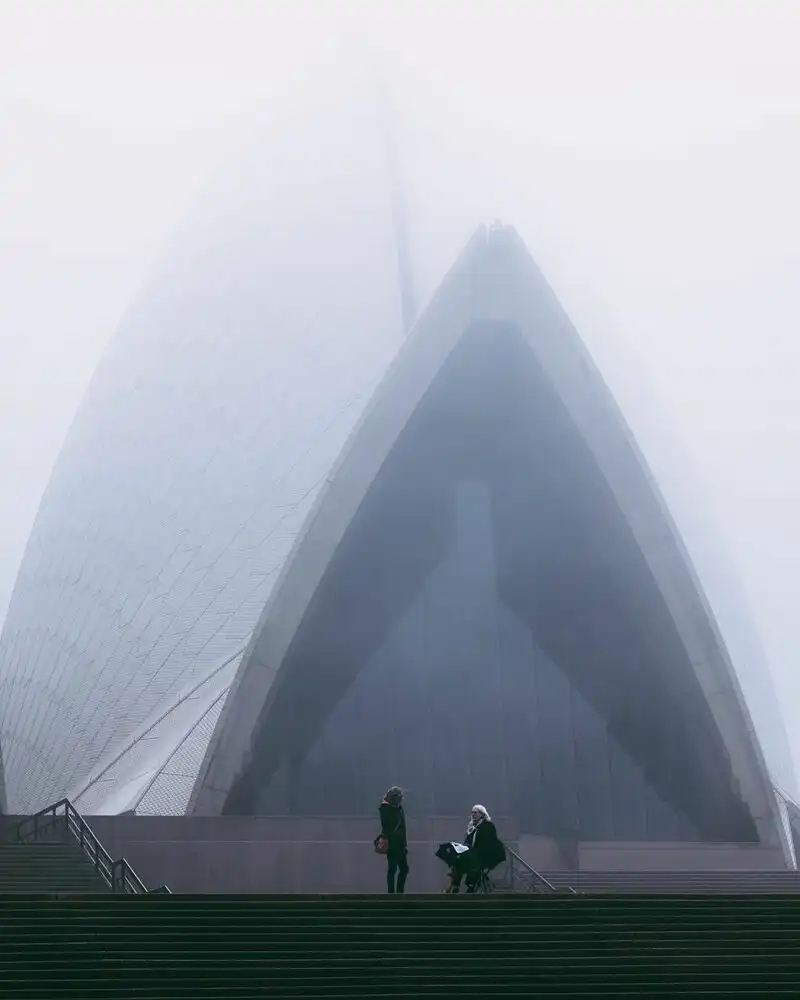 Лесная тропа в тумане