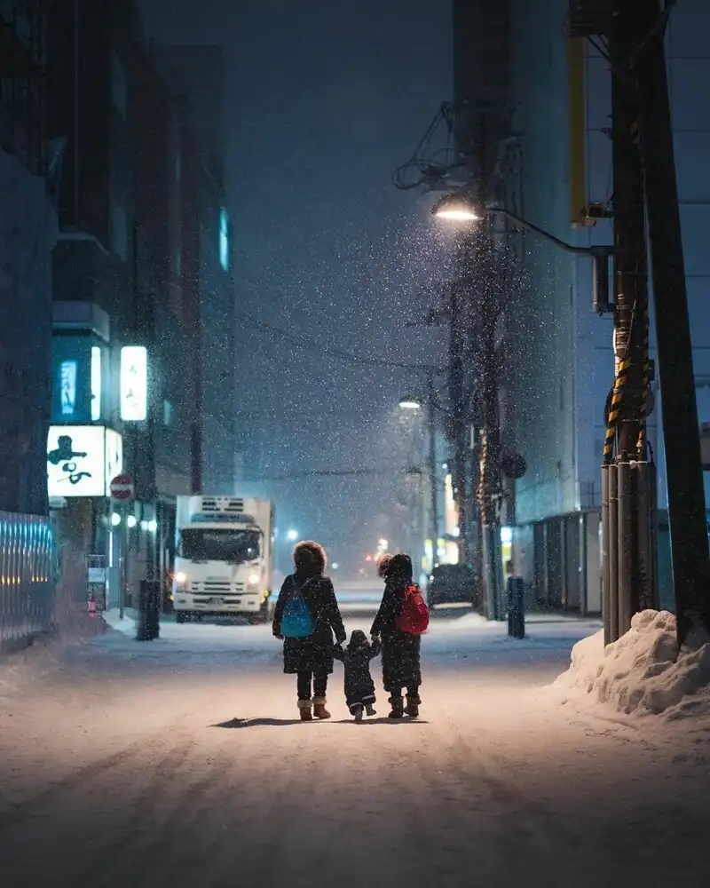 Одинокое дерево в поле