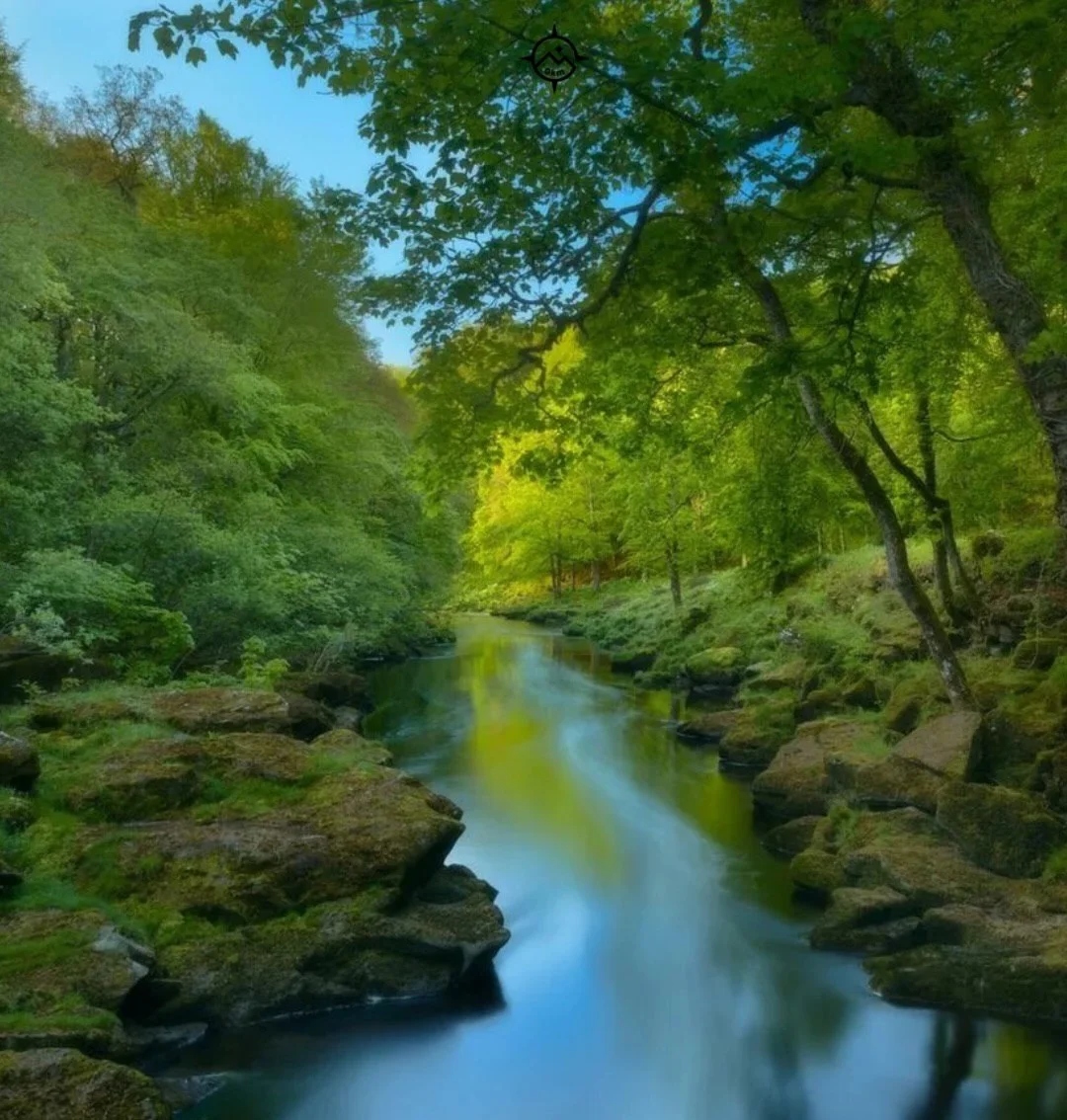 Болтон Стрид