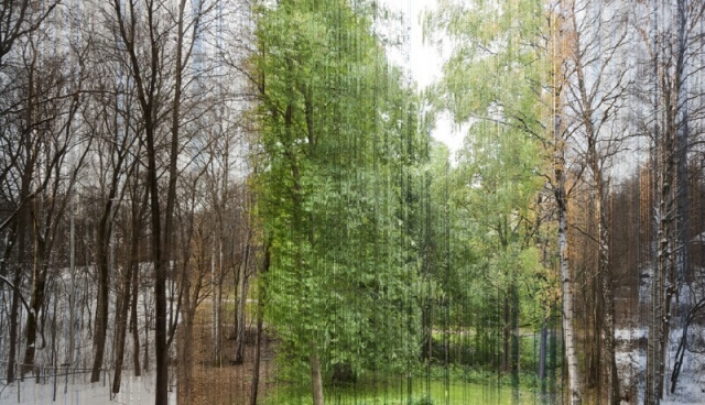 Фото из 365 фрагментов