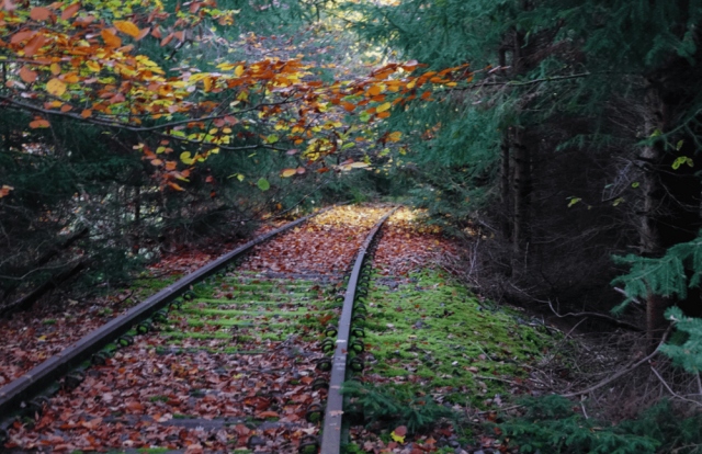 Заброшенные железнодорожные пути
