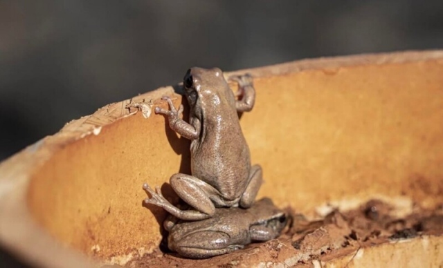 Подводный мир