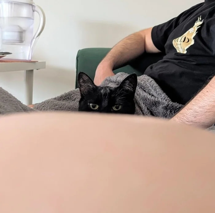 Кот наблюдает сверху