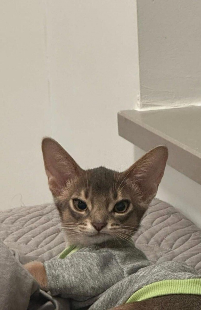 Немного недовольства