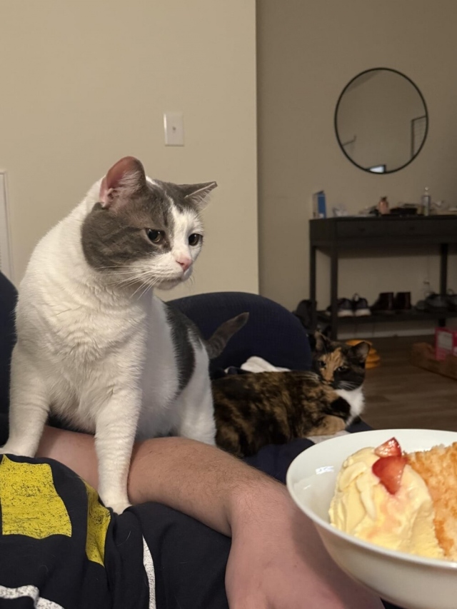 Наверное, это очень вкусное мороженое?