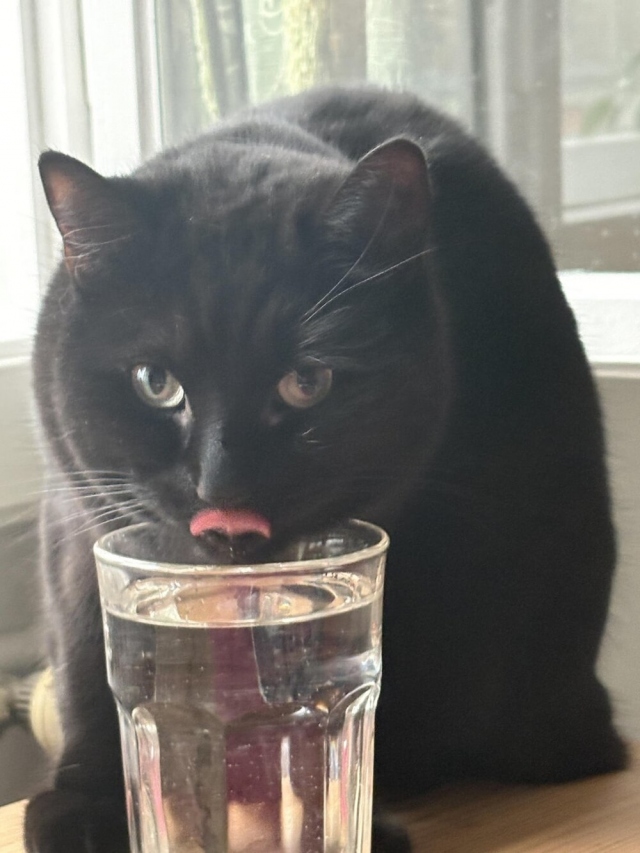 Не дам себе засохнуть