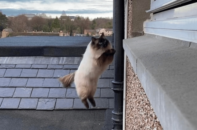 Иду на взлёт