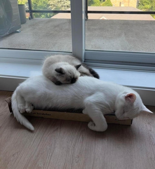 Только вместе, только рядом