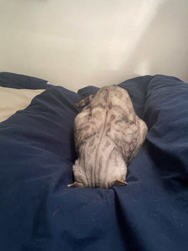 Мыслитель в ударе