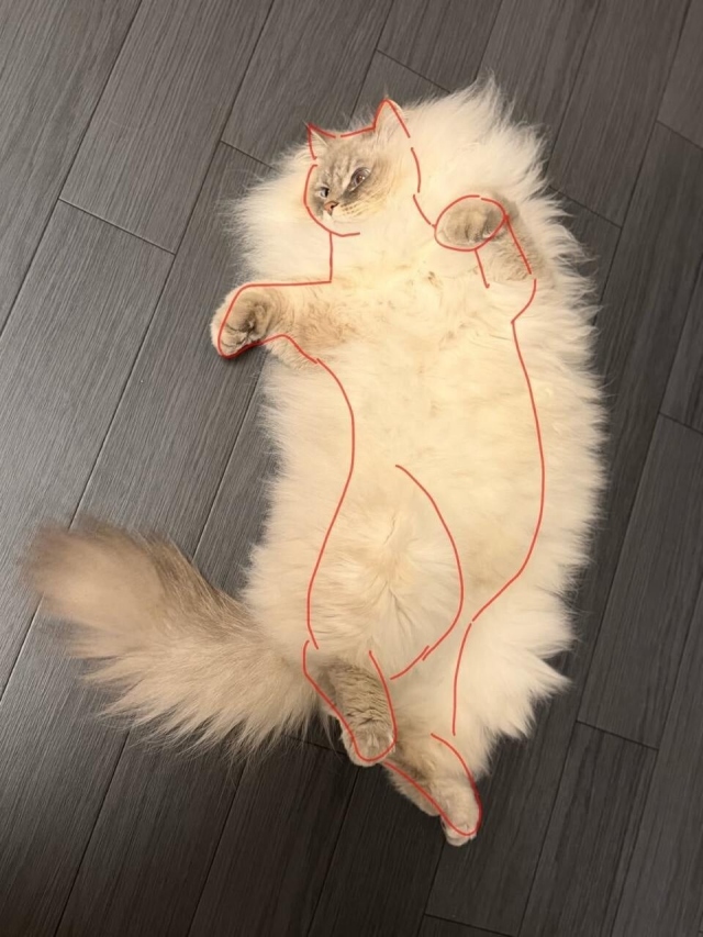 Два в одном