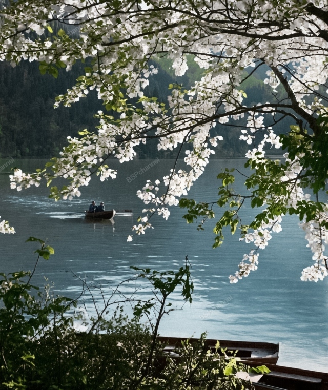 Архивные фотографии СССР: путешествие по эпохе в 20 снимках