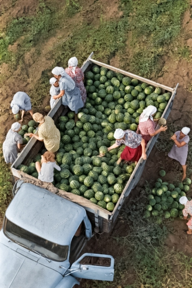 Архивные фотографии СССР: путешествие по эпохе в 20 снимках