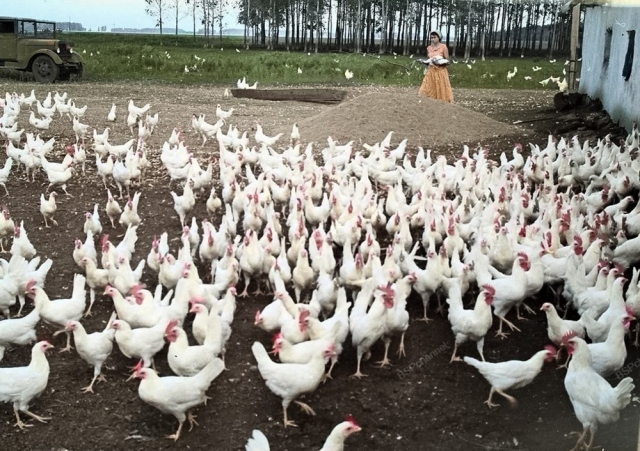 Архивные фотографии СССР: путешествие по эпохе в 20 снимках