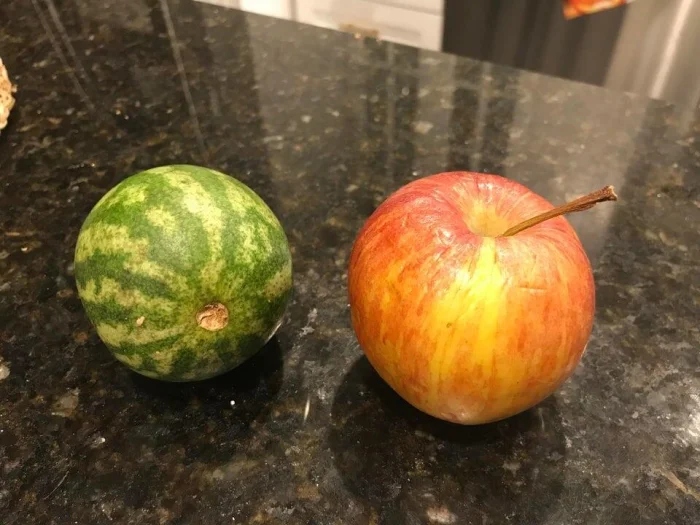 Маленький арбуз