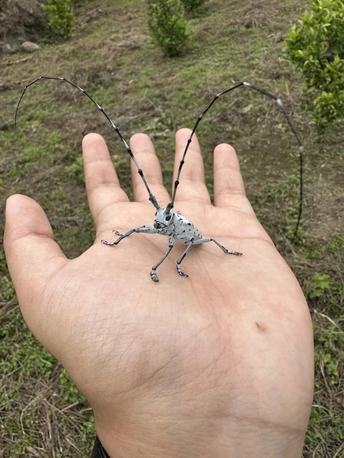 Не бойтесь их взгляда: удивительная красота безобидных насекомых