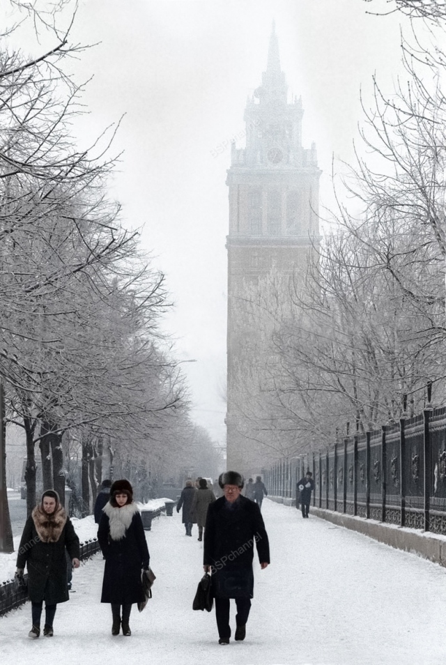 Воронеж в 1960-е: как жил город на старых фотографиях