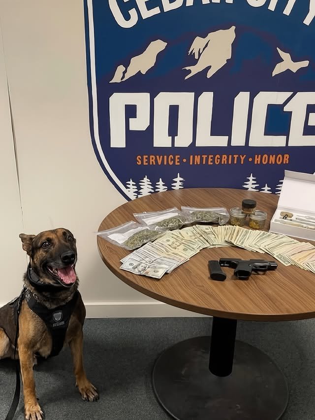 Полицейские собаки хвастаются своими находками на фото