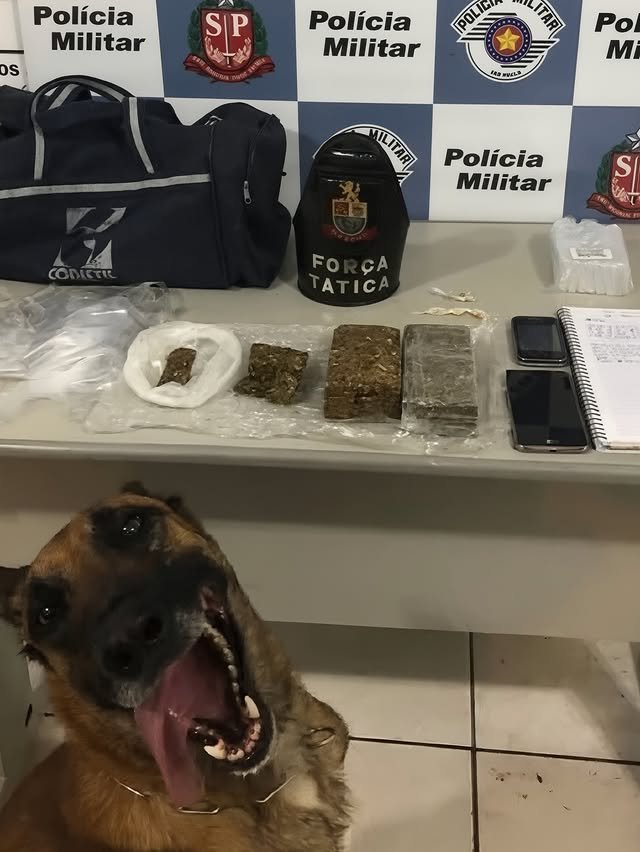 Полицейские собаки хвастаются своими находками на фото