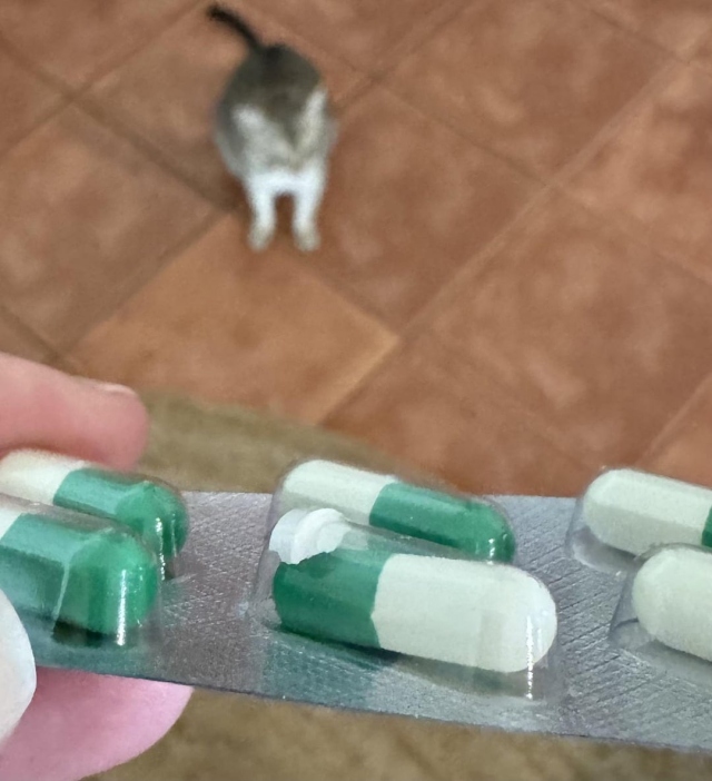 12 редких и удивительных явлений, которые удалось запечатлеть случайным людям